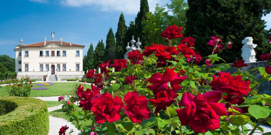 Things to do in Vicenza