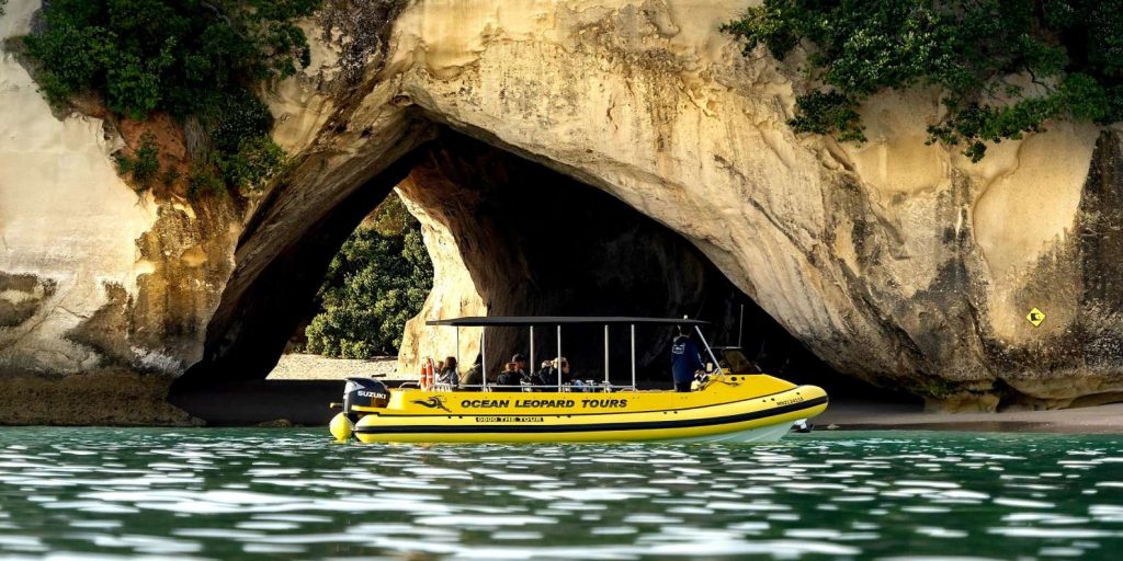 Things to do in Whitianga